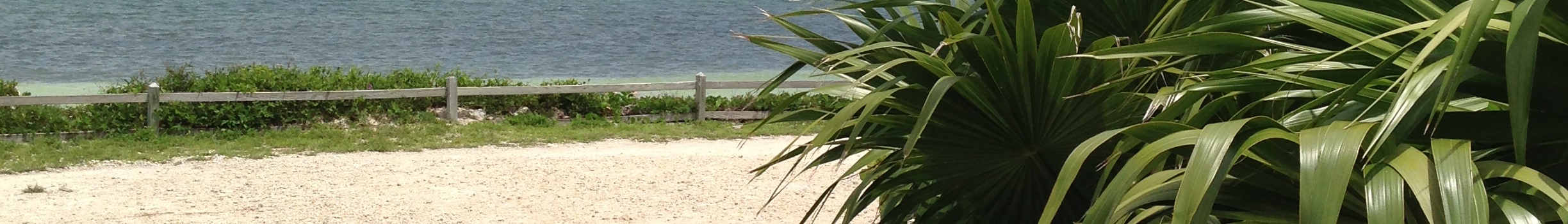 Big Pine Key Nightlife