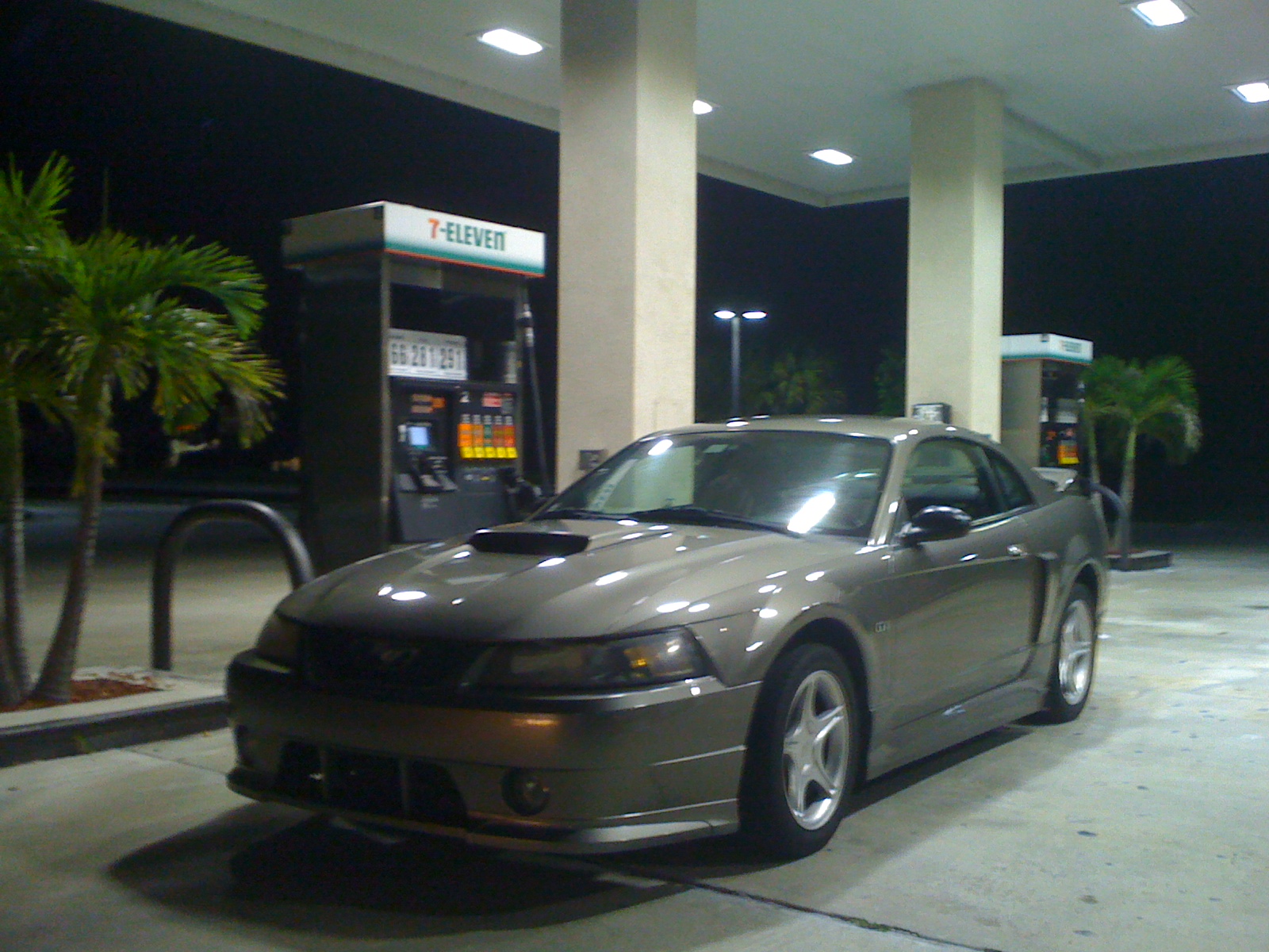 Coral Springs Nightlife