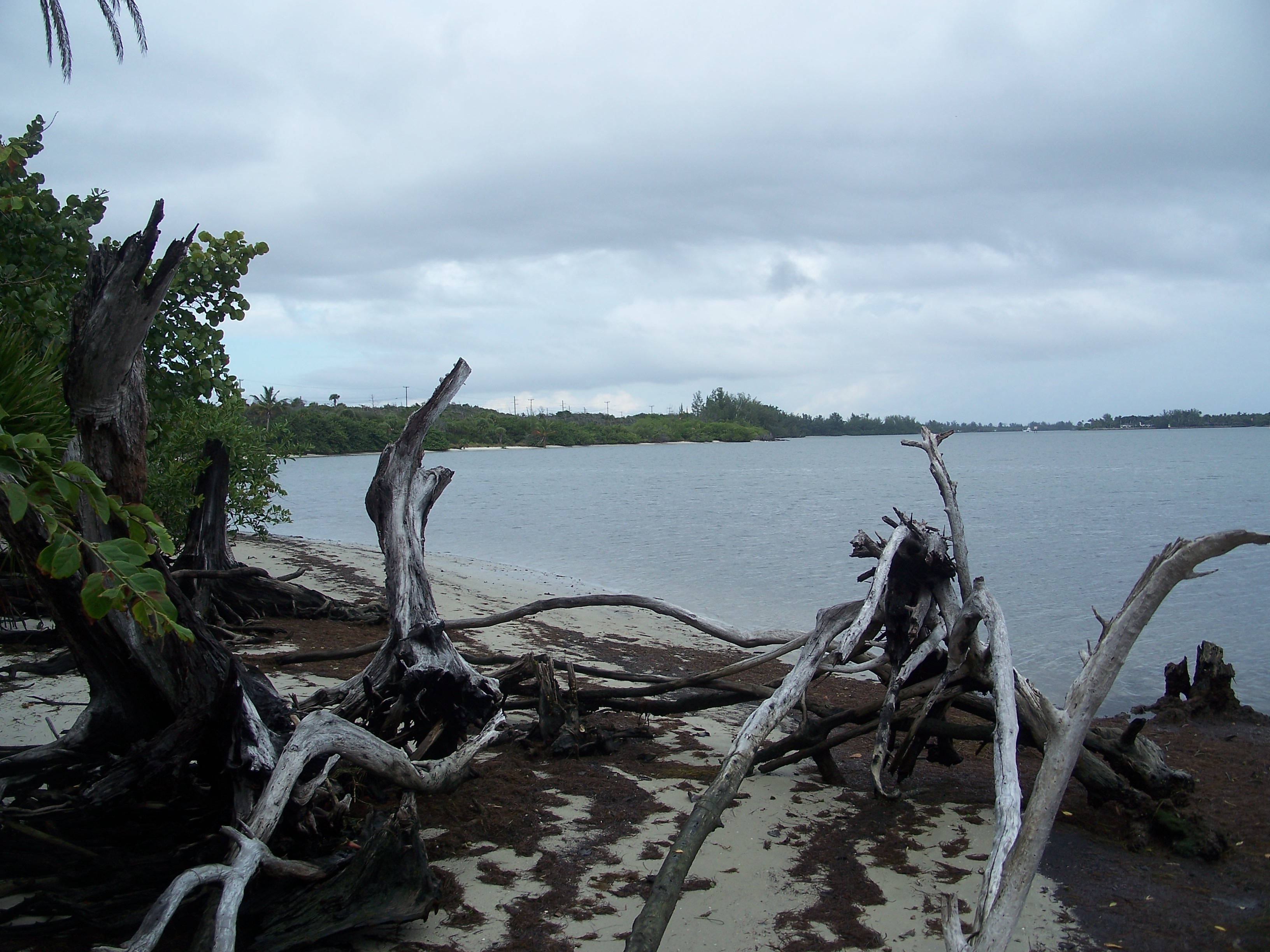 Hobe Sound Nightlife