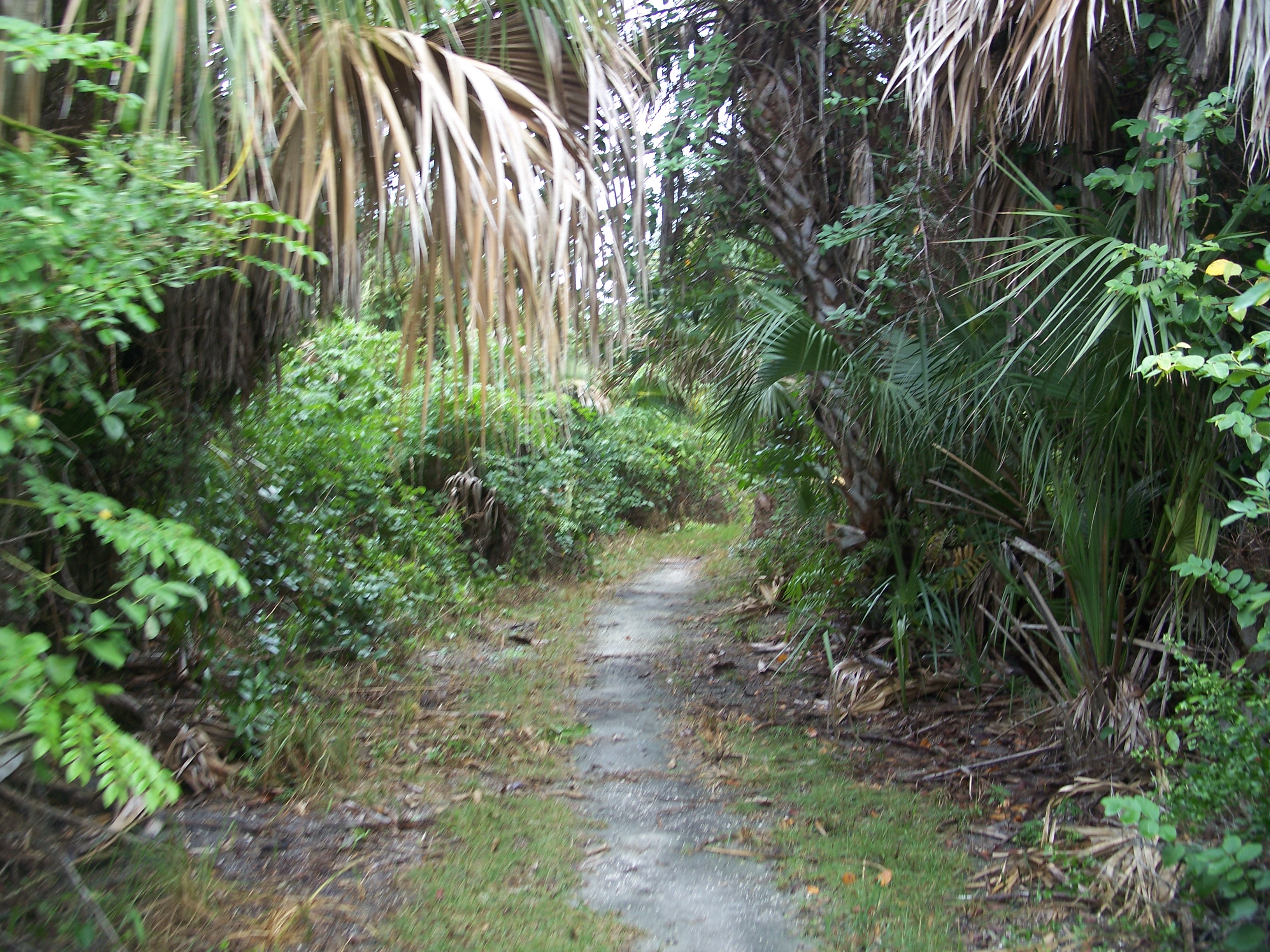 Hobe Sound Nightlife