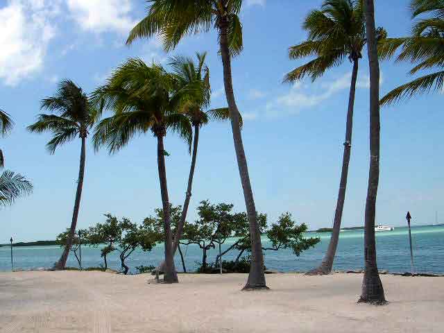 Islamorada Real Estate