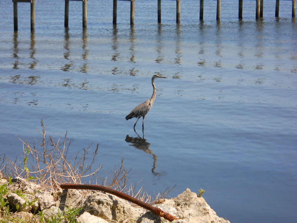 Jensen Beach Nightlife