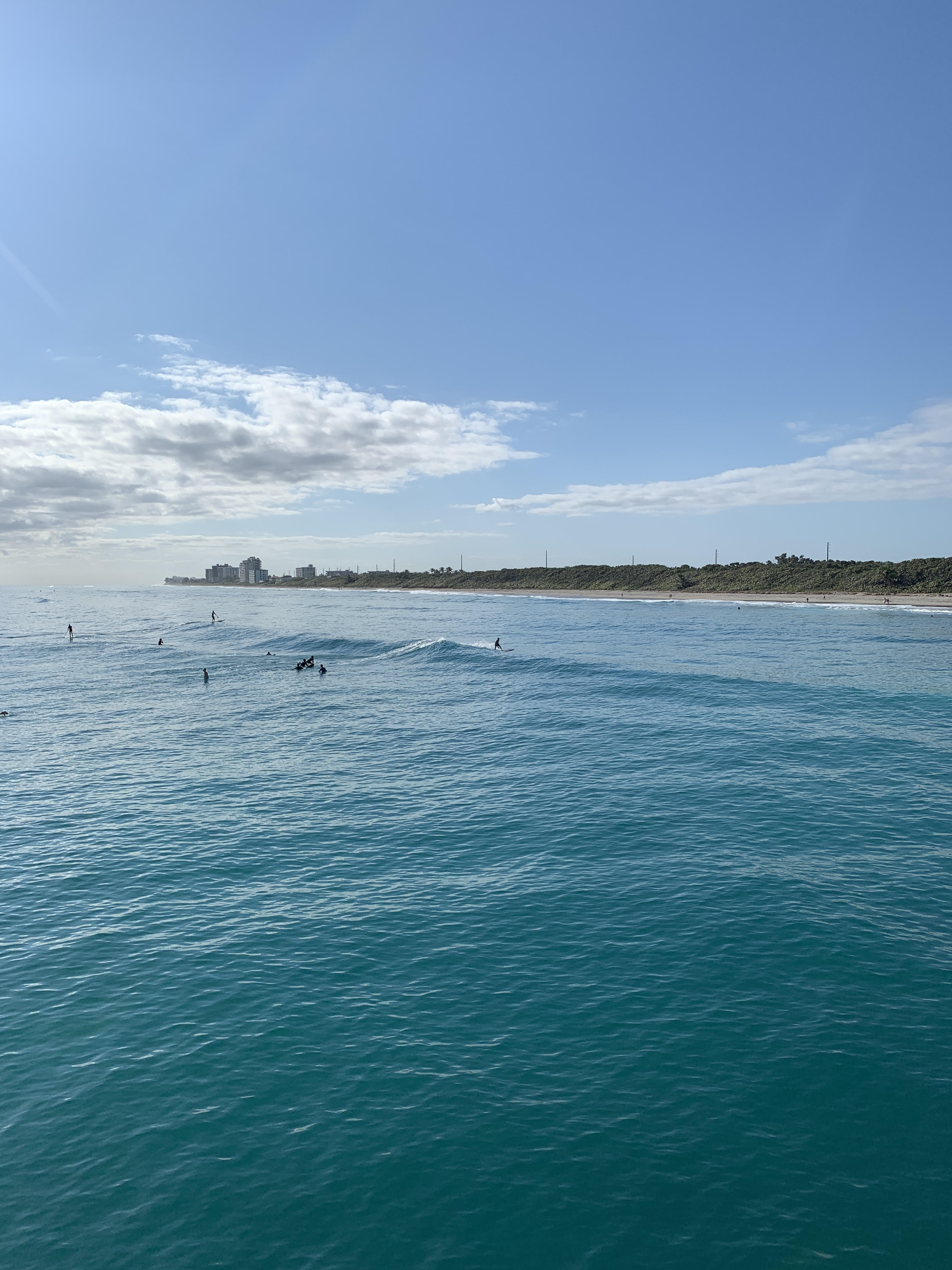 Juno Beach Real Estate