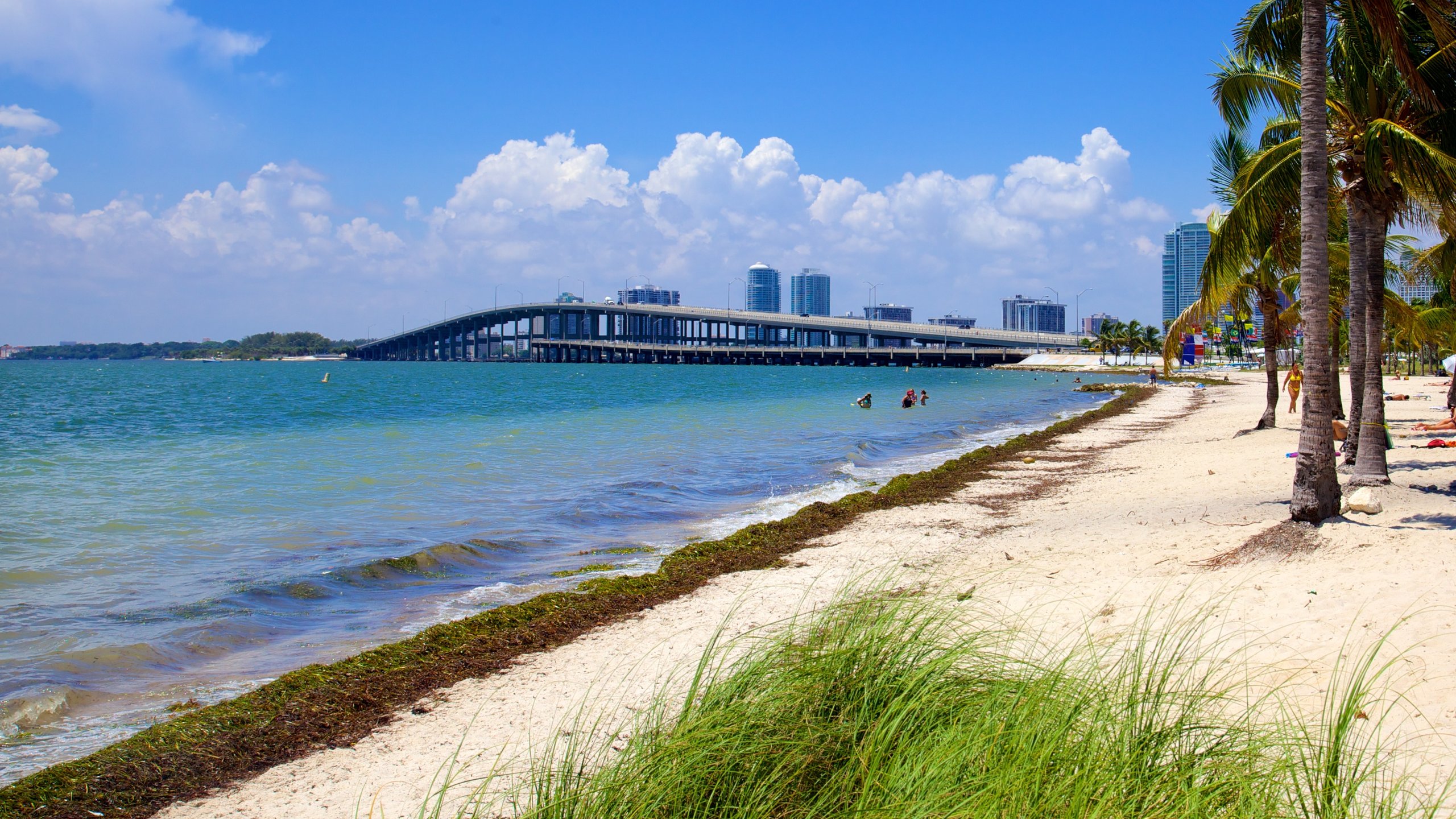 Key Biscayne Real Estate