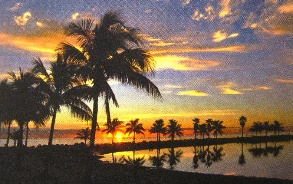 Miami Beach Real Estate