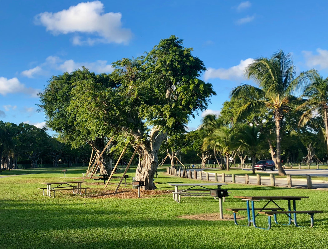 Morningside Park Real Estate