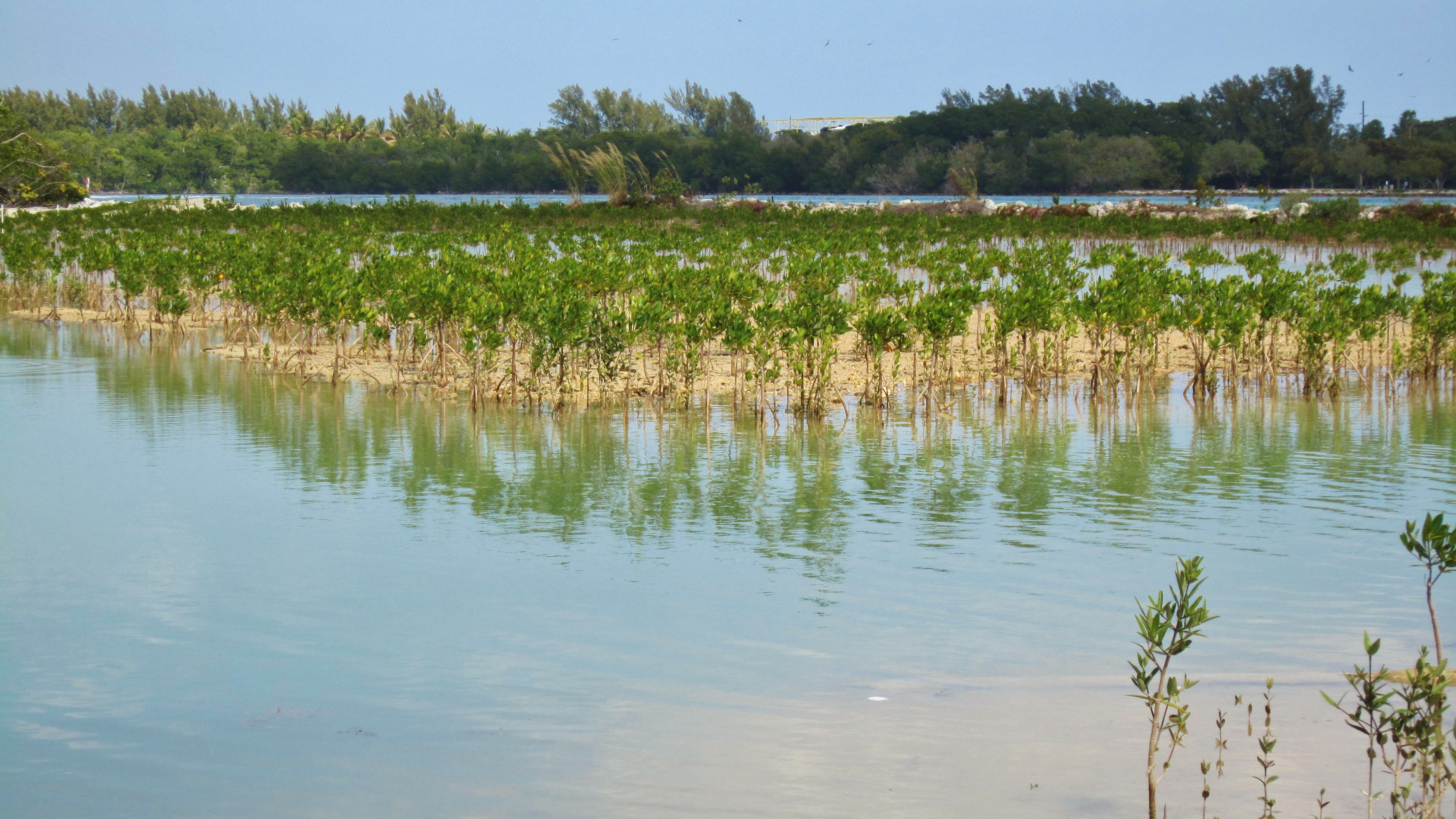 North Miami Beach Real Estate