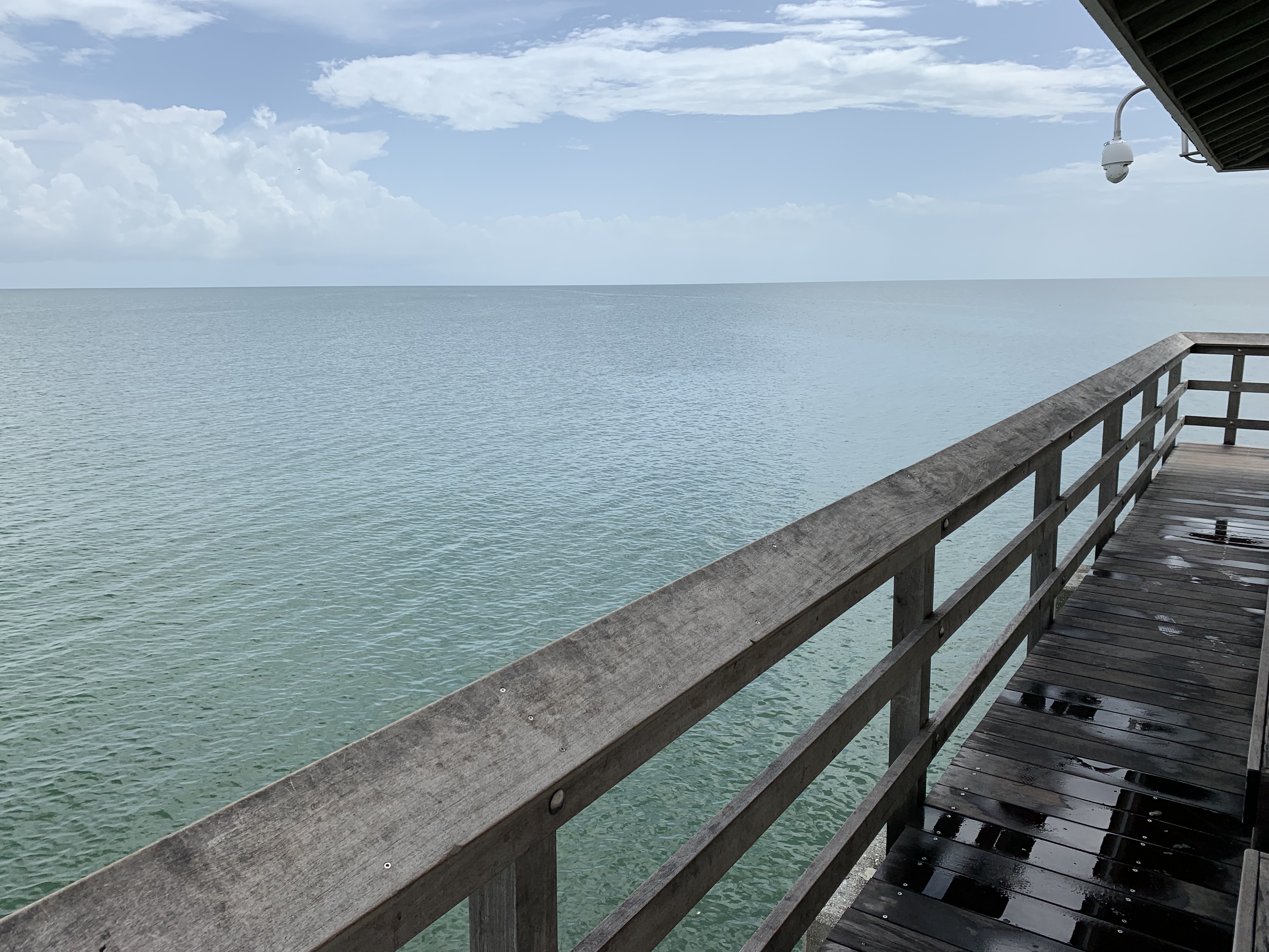 Old Naples Nightlife