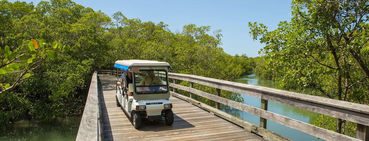 Pelican Bay Real Estate