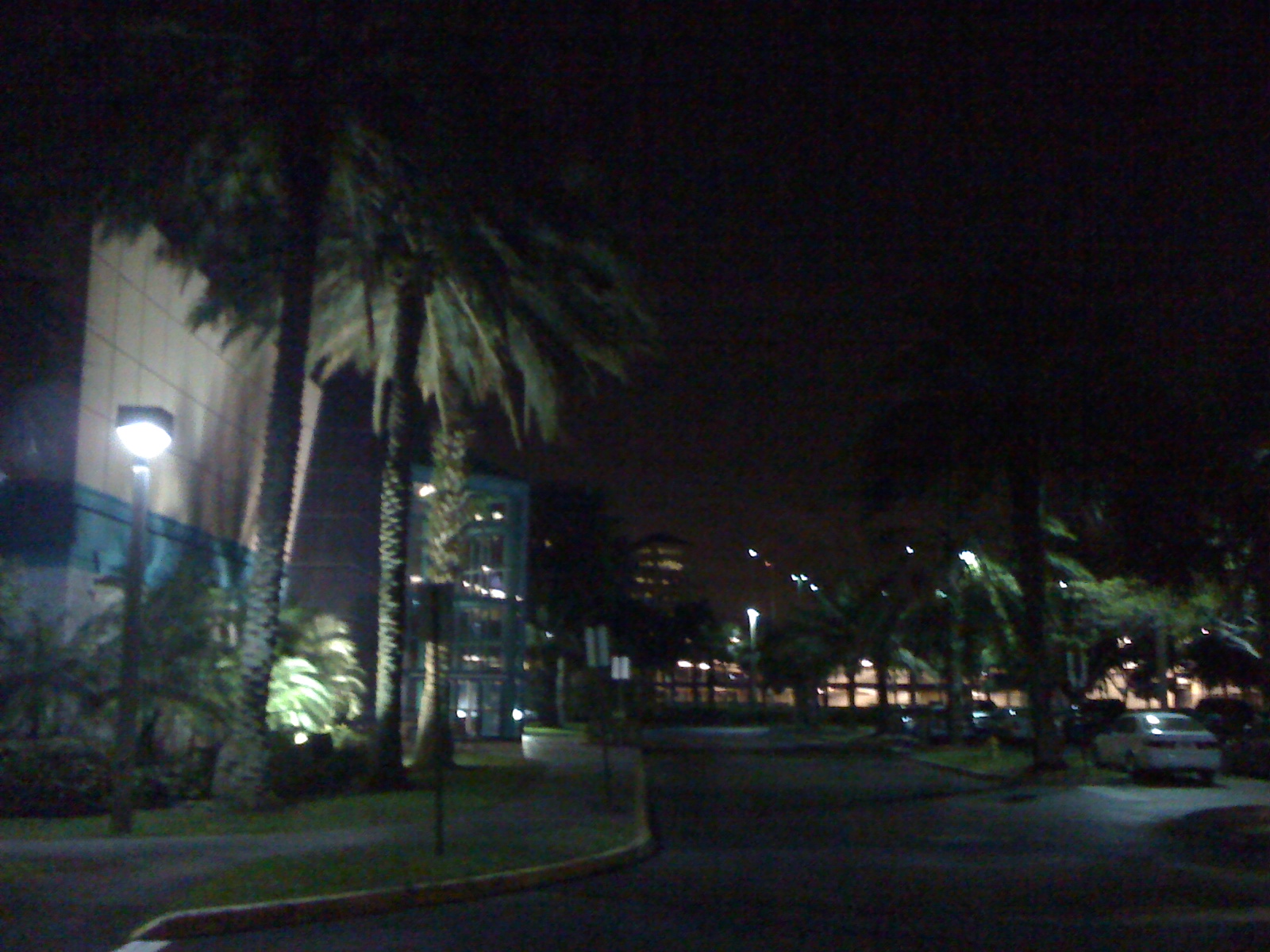 Plantation Real Estate