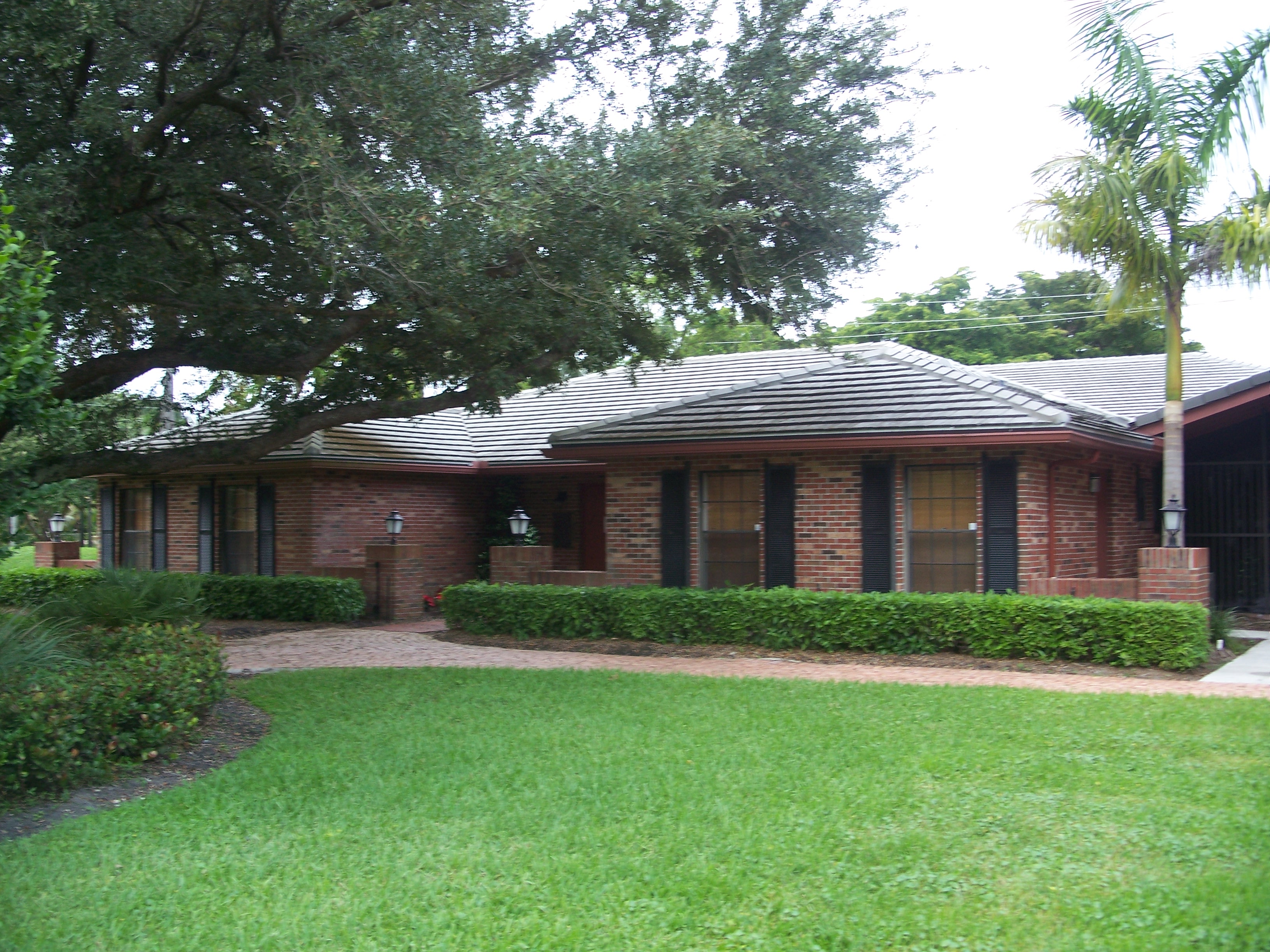 Plantation Nightlife