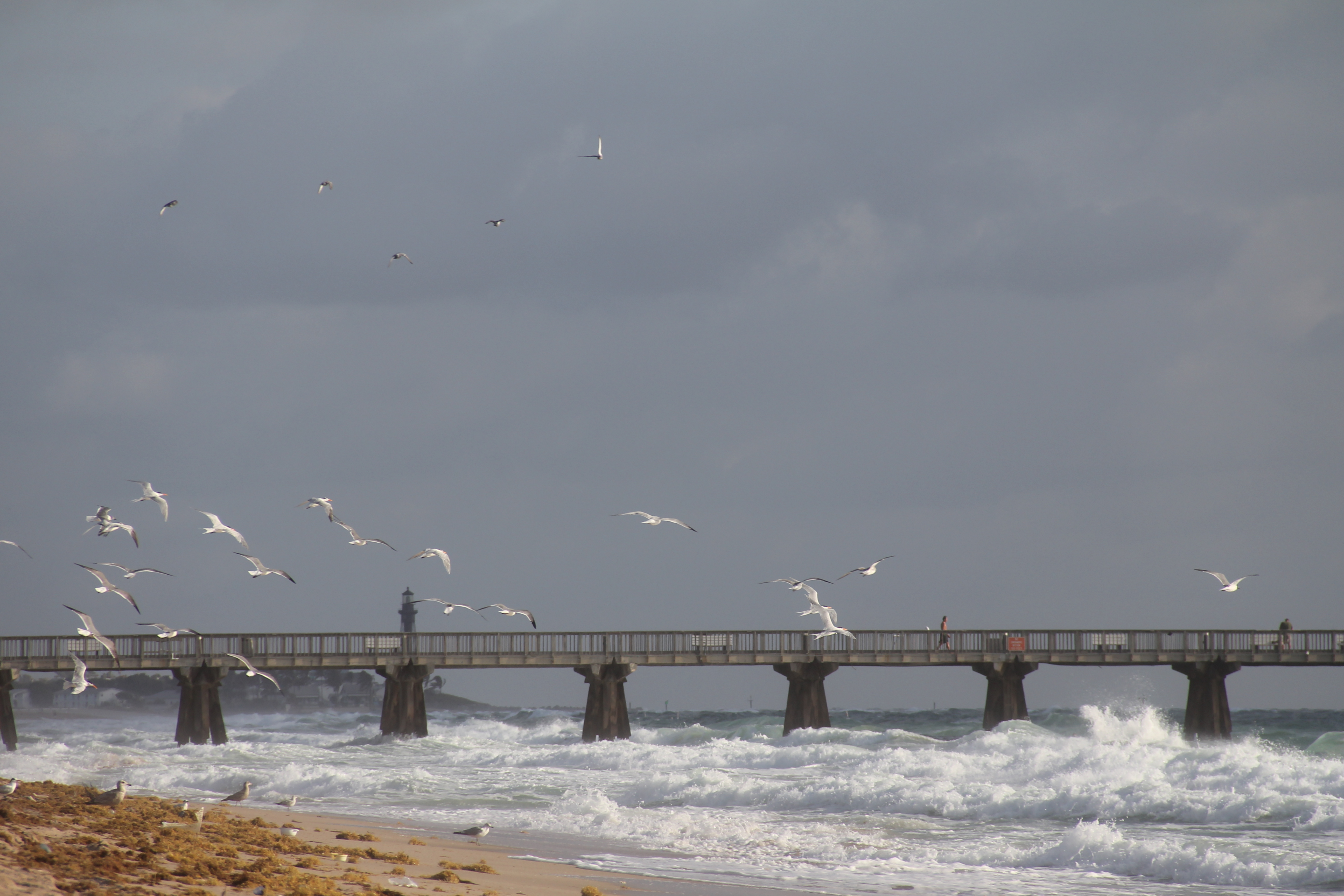 Pompano Beach Real Estate