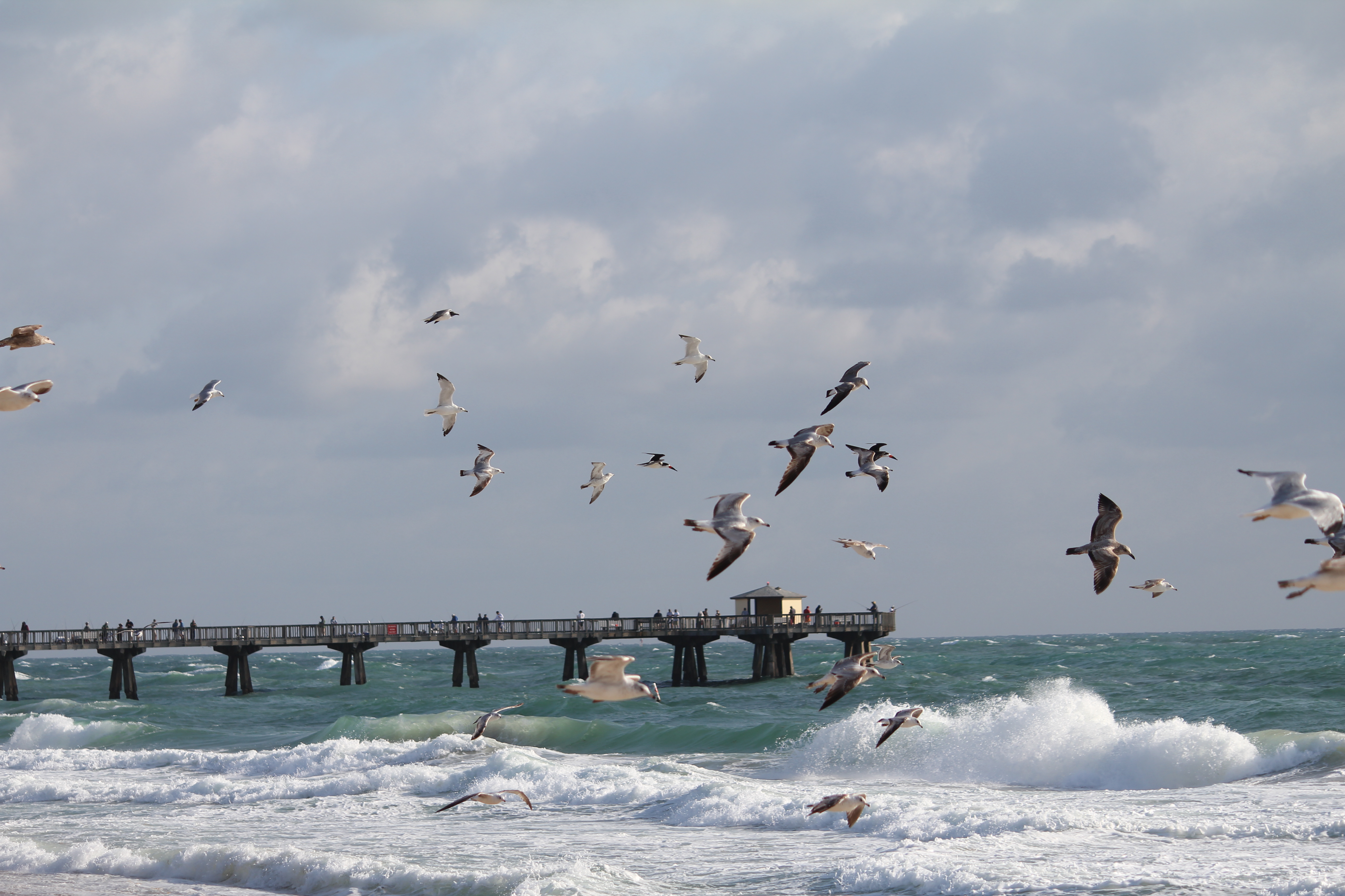 Pompano Beach Real Estate