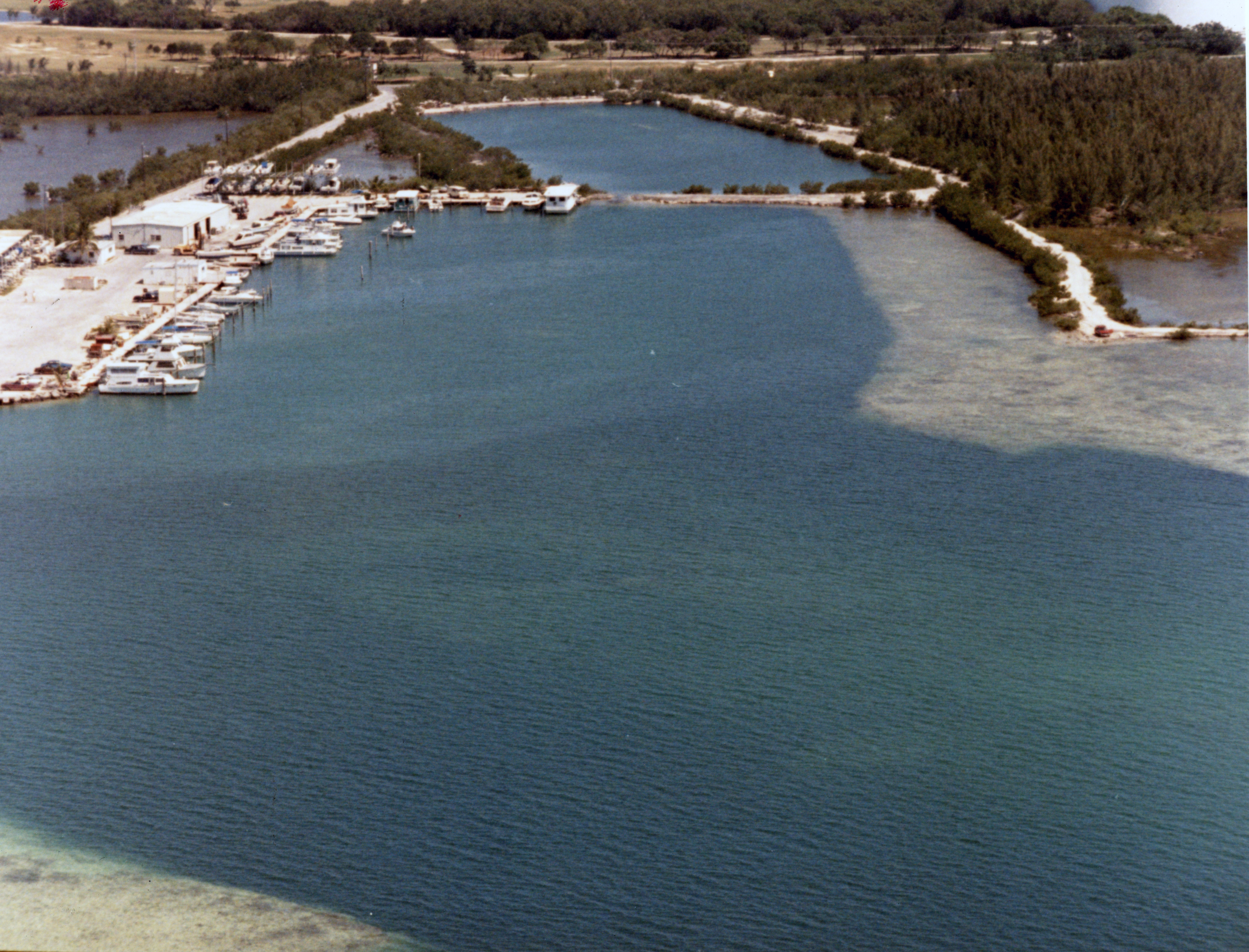 Stock Island Real Estate