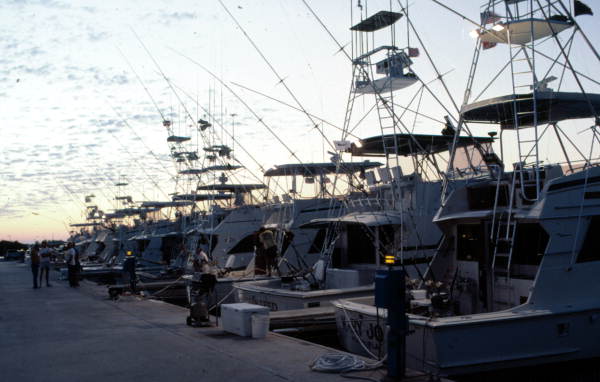 Stock Island Real Estate