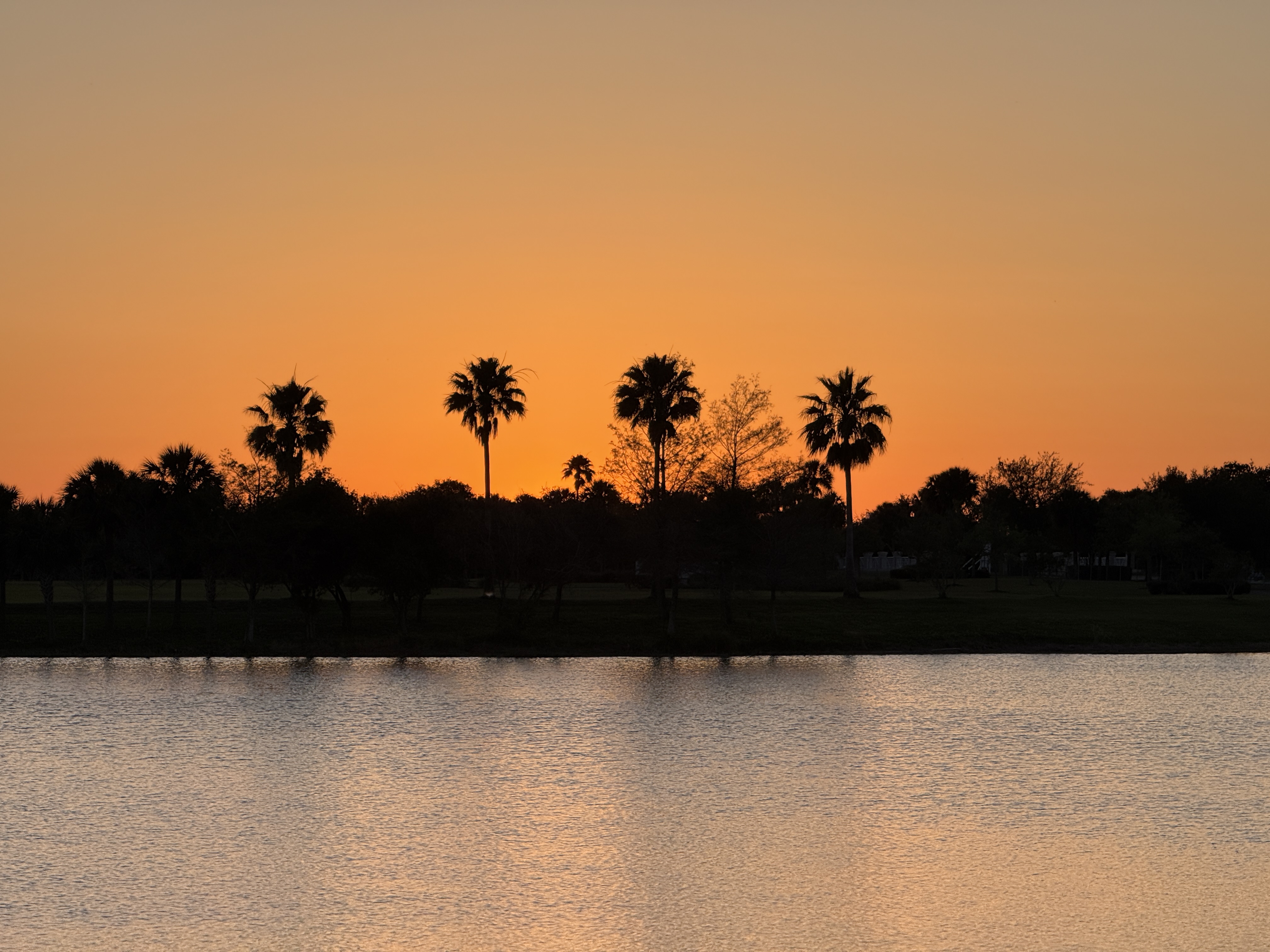 Tradition Real Estate