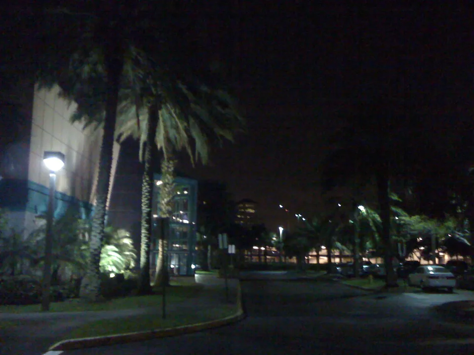 Plantation Real Estate