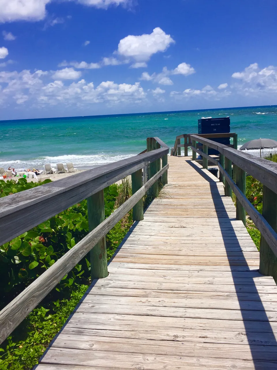 Boca Raton Real Estate