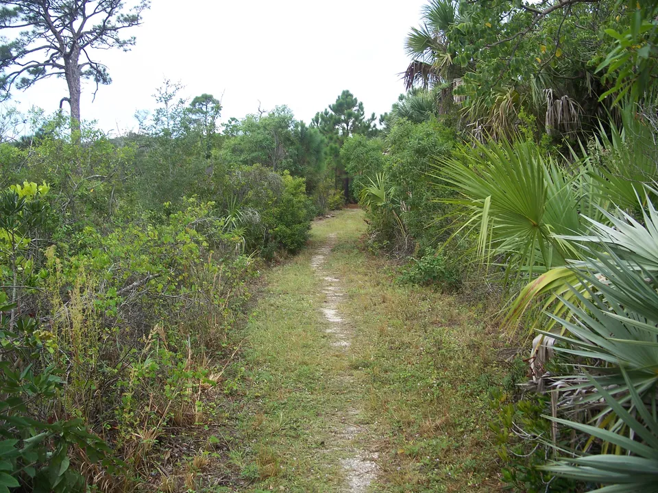 Hobe Sound Real Estate