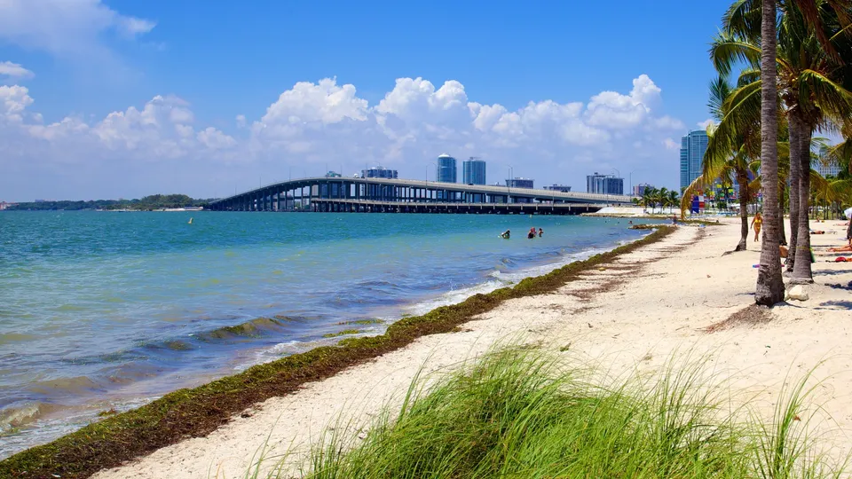 Key Biscayne Real Estate